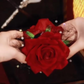 505 Red Rose Hair Clip